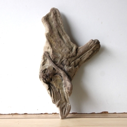 Treibholz Schwemmholz Driftwood 1 Skulptur  36 cm 