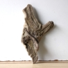 Treibholz Schwemmholz Driftwood 1 Skulptur  36 cm 