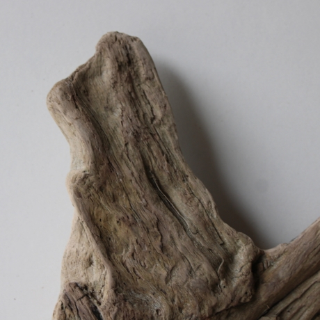 Treibholz Schwemmholz Driftwood 1 Skulptur  36 cm 