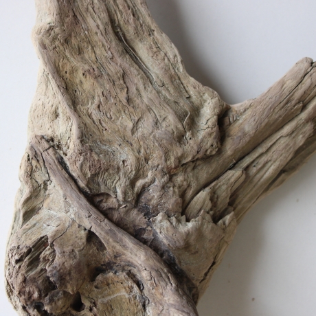 Treibholz Schwemmholz Driftwood 1 Skulptur  36 cm 