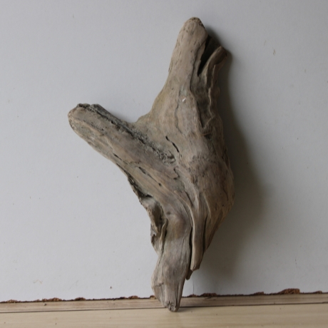 Treibholz Schwemmholz Driftwood 1 Skulptur  36 cm 
