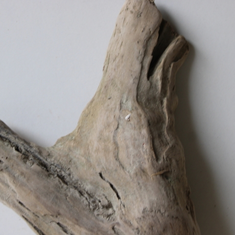 Treibholz Schwemmholz Driftwood 1 Skulptur  36 cm 