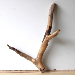 Treibholz Schwemmholz Driftwood 1  Wurzel  Terrarium 52 cm 
