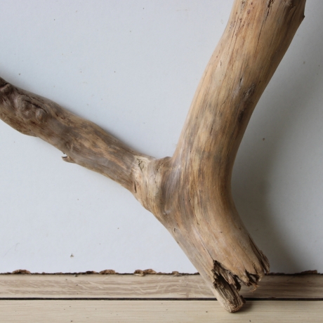 Treibholz Schwemmholz Driftwood 1  Wurzel  Terrarium 52 cm 