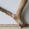 Treibholz Schwemmholz Driftwood 1  Wurzel  Terrarium 52 cm 