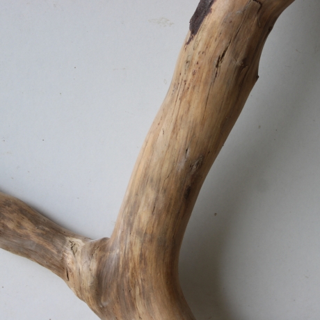 Treibholz Schwemmholz Driftwood 1  Wurzel  Terrarium 52 cm 