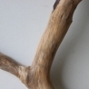 Treibholz Schwemmholz Driftwood 1  Wurzel  Terrarium 52 cm 