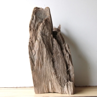 Treibholz Schwemmholz Driftwood 1 XXL Skulptur  51 cm hoch