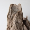 Treibholz Schwemmholz Driftwood 1 XXL Skulptur  51 cm hoch