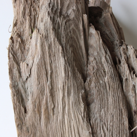 Treibholz Schwemmholz Driftwood 1 XXL Skulptur  51 cm hoch