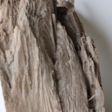 Treibholz Schwemmholz Driftwood 1 XXL Skulptur  51 cm hoch