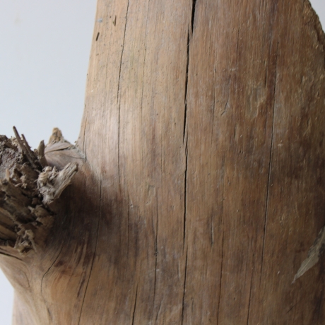 Treibholz Schwemmholz Driftwood 1 XXL Skulptur  51 cm hoch