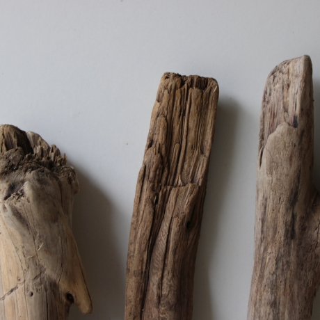 Treibholz Schwemmholz Driftwood 3 Hölzer Terrarium 40 - 47 cm 