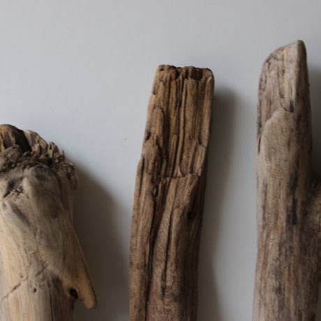 Treibholz Schwemmholz Driftwood 3 Hölzer Terrarium 40 - 47 cm 