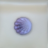 Dose in Muschelform B-Ware
