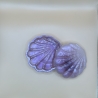 Dose in Muschelform B-Ware