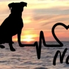 Aufkleber Herzlinie Heartbeat Hund Jack Russel