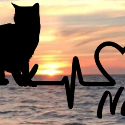 Aufkleber Herzlinie Heartbeat Katze 3