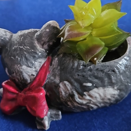 Katze grau aus Raysin