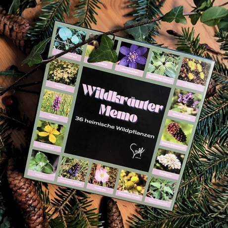 Wildkräuter Memo – Lernspiel mit heimischen Pflanzen