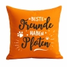 Kissen 40x40 cm bedruckt mit BESTE FREUNDE HABEN PFOTEN