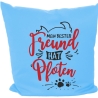 Kissen 40x40 cm bedruckt mit MEIN BESTER FREUND HAT VIER PFOTEN