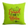 Kissen 40x40 cm bedruckt mit MEIN BESTER FREUND HAT VIER PFOTEN
