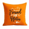 Kissen 40x40 cm bedruckt mit MEIN BESTER FREUND HAT VIER PFOTEN
