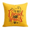 Kissen 40x40 cm bedruckt mit MY BEST FRIEND HAS PAWS