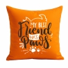 Kissen 40x40 cm bedruckt mit MY BEST FRIEND HAS PAWS