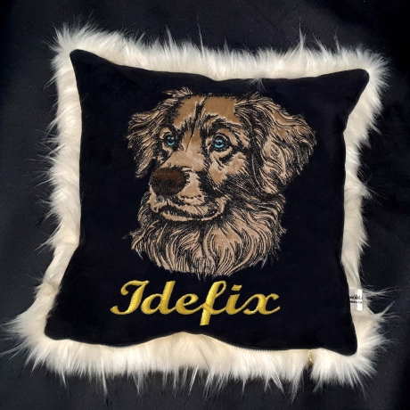Stickdatei Applikation Nova Duck Retriever  Matteo