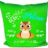 Kissen 40x40 cm SWEET EULE personalisiert mit Geburtsdaten/Name
