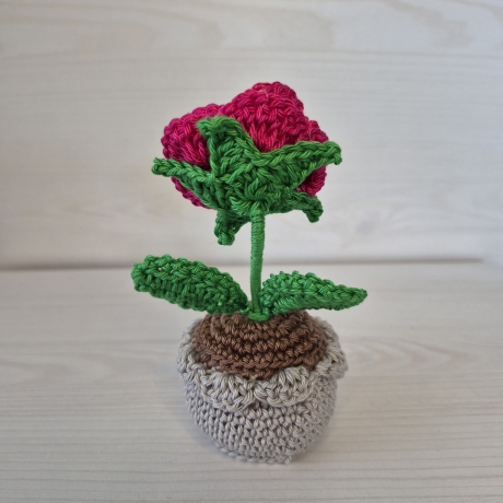 Rose im Topf - pink (als Häkelblume)