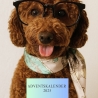 Adventskalender Hund Schmuck 2025 DIY Bastelset Schmuck