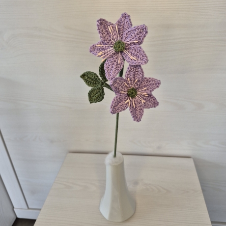 Leberblümchen (Häkelblume)