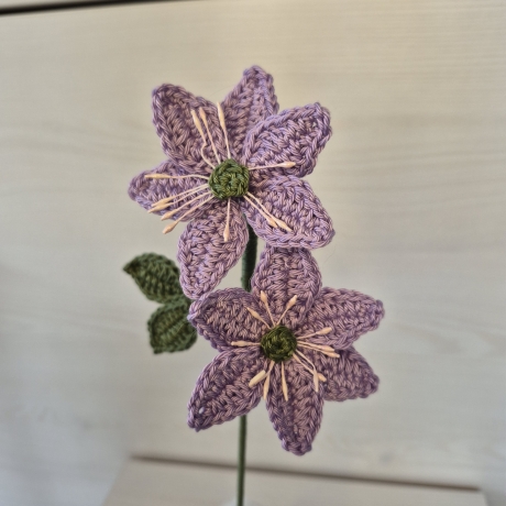 Leberblümchen (Häkelblume)