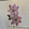 Leberblümchen (Häkelblume)