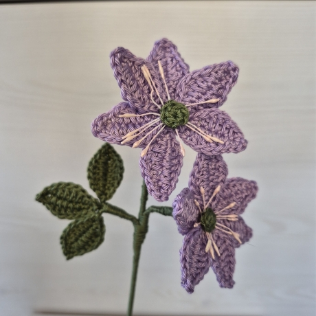 Leberblümchen (Häkelblume)