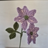 Leberblümchen (Häkelblume)
