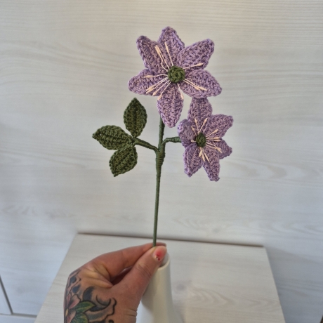 Leberblümchen (Häkelblume)