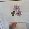 Leberblümchen (Häkelblume)