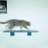 Catwalk für Katzen