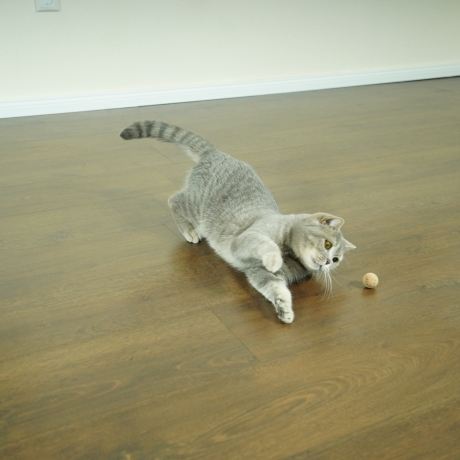 Kork Spielball Korkie für Katzen - 3er Set