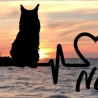 Aufkleber Herzlinie Heartbeat Katze Maine Coon