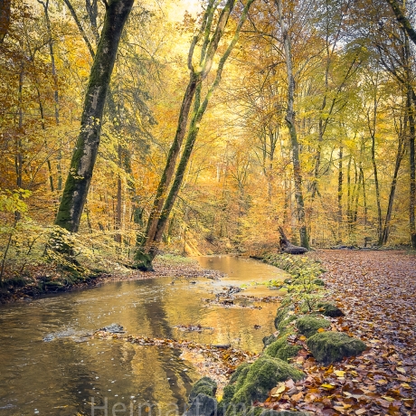 Neu! Fotografie Abenddämmerung Bach als Poster Druck