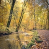 Neu! Fotografie Abenddämmerung Bach als Poster Druck
