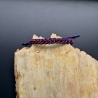 Modell 235 Makramee Armband, Freundschaftsband, Textilschmuck