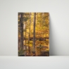 Fotografie Moor Wald - FineArt Druck