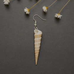 Muschel-Ohrhänger einzeln