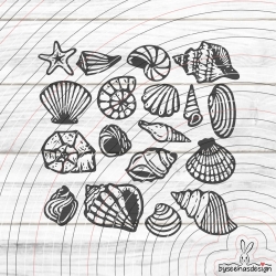 Muscheln Plotterdatei SVG DXF 
